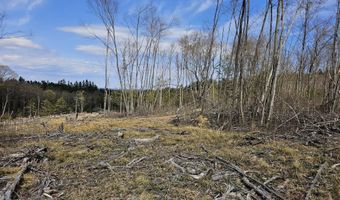 295 Shellstone Rd, Amsterdam, NY 12010