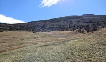 1381 Sheephorn Creek Rd, Bond, CO 80423