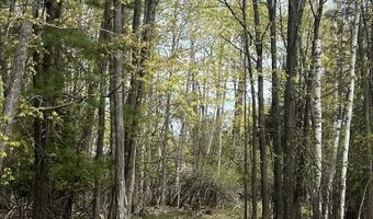 2056 Hobbs Dr, Alpena, MI 49707