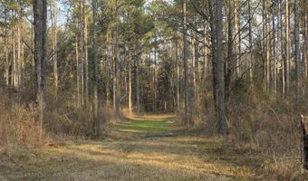 U.S. Highway 51, Bogue Chitto, MS 39629