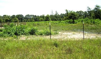 138 Little River 183, Ashdown, AR 71822