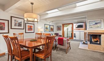 901 E Hyman Ave 13, Aspen, CO 81611