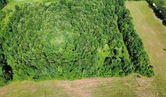 County Road 304, Alton, MO 65606