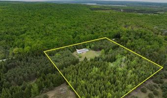 6687 BOOTY, Alanson, MI 49706