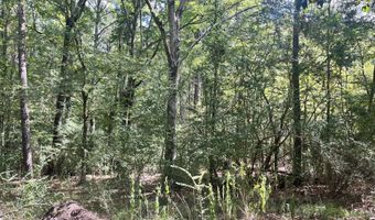 Brock Cir, Brandon, MS 39042