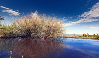 1735 CROOKED CREEK Rd, Alta, WY 83414