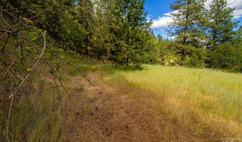 0 Whitetail Dr, Ahsahka, ID 83520