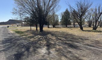 302 Smokey Bear Blvd, Capitan, NM 88316