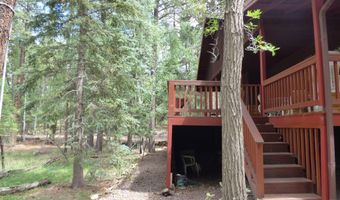 38 CR 2266, Alpine, AZ 85920