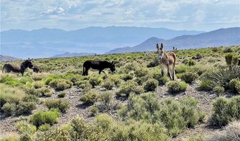 91 Aspen Road 095-01-710-007, Cold Creek, NV 89124