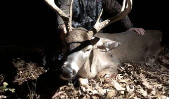 001 CR 532, Avalon, MS 38917