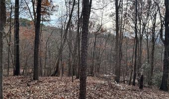 Hwy 105, Baldwin, GA 30511