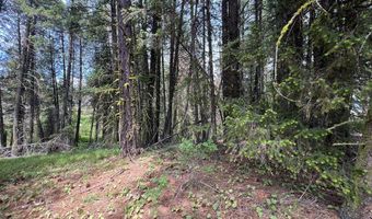 Tbd Hilltop Road 43 & 44, Cascade, ID 83611