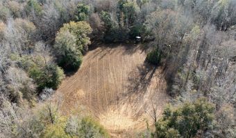 Brush Creek Dr, Akron, AL 35441