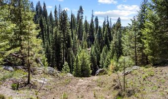 219 Tripod View Dr Lot 5, Cascade, ID 83611