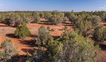 W Conwayden Road, Ash Fork, AZ 86320