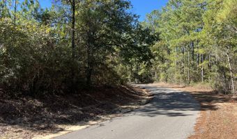 259 Forest Lake Rd, Beaumont, MS 39423