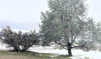 56795 Cain Rd, Anza, CA 92539