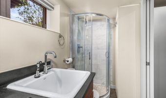 720 W Hopkins Ave Unit D, Aspen, CO 81611