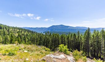 1140 Salee Creek Rd, Bayview, ID 83803
