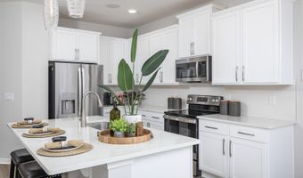 386 Lady Palm St, Apopka, FL 32703