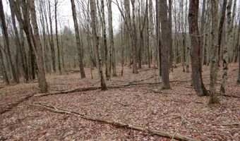 County Route 16, Angelica, NY 14709