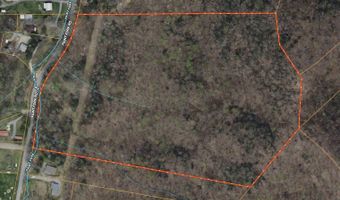 TBD Paint Fork Rd, Barnardsville, NC 28709