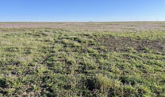 35920 County Road 160, Agate, CO 80101