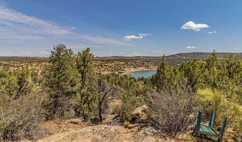 413 Delasso Loos Rd, Blanco, NM 87412