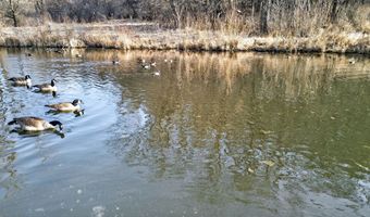 271 18 Acres Zwettler/Foster Rd, Arena, WI 53503