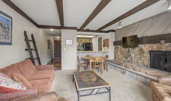107 N Harris St 209, Breckenridge, CO 80424