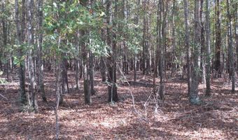 Hillside Drive, Americus, GA 31709