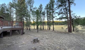 6 County Road 2271, Alpine, AZ 85920