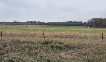 71 Acres Chicago Dr, Arkdale, WI 54613