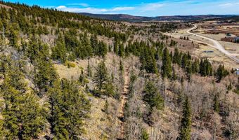270 Co Rd 667 Lot 0, Alma, CO 80440