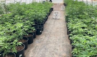 183 County Road 41, Alcalde, NM 87511