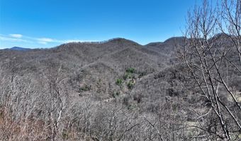 11 Taryn Trce 16, Barnardsville, NC 28709