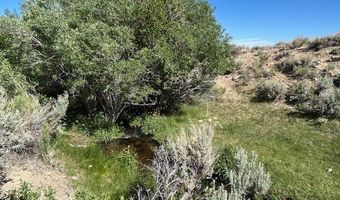 1220 SETTLER'S Way, Dyer, NV 89010