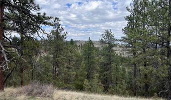 Tbd Ponderosa Ridge ROAD, Columbus, MT 59019