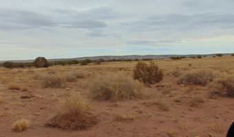42 N5576, Concho, AZ 85924