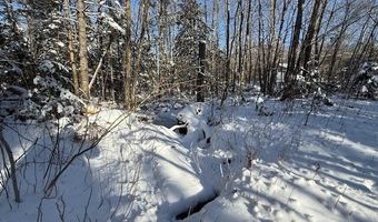 US-1 lot 10, Baring Plt, ME 04694