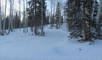 Tushar Mountain Estates Lot # 9, Beaver, UT 84713