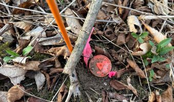 Lot 4 Mud Run Rd, Addison, NY 14801