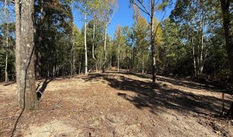 0 Slasham Rd, Ashville, AL 35953