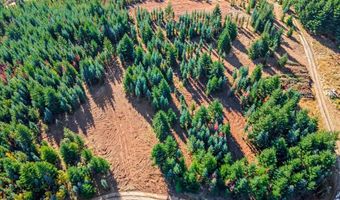 NW Lodge Rd, Banks, OR 97106