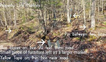 512 Woodbury Mountain Rd, Calais, VT 05648