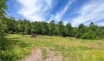 0 Woodland Hills Rd, Andes, NY 13731