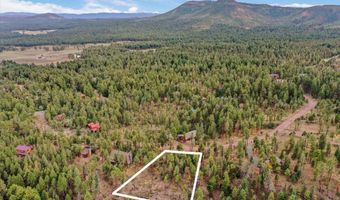 14 County Rd 2074, Alpine, AZ 85920