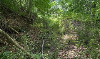Bryant Hollow Road, Alderson, WV 24910
