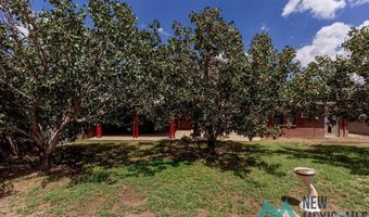 1303 Chico St, Carlsbad, NM 88220